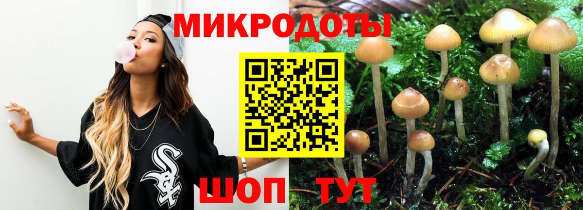 Галлюциногенные грибы Psilocybe  Вход с VPN  Галлюциногенные грибы Magic Shrooms  Киров 
